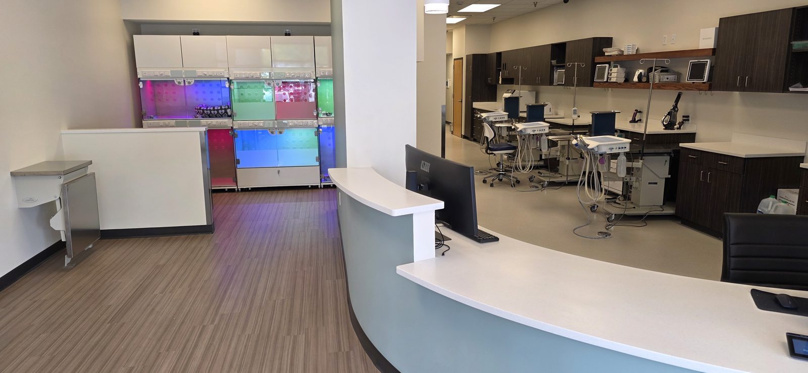 Inside Veterinary Dental Arts in Fort Collins: the curved front desk, the open treatment floor with its dental stations just behind it, and the recovery kennels to the left.